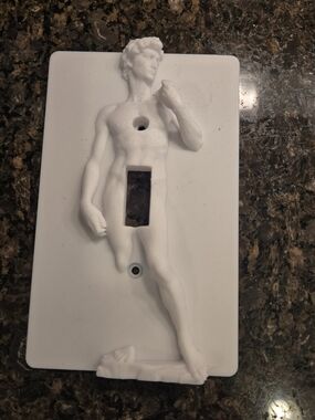 White Sculptural David Single Toggle Switch Plate